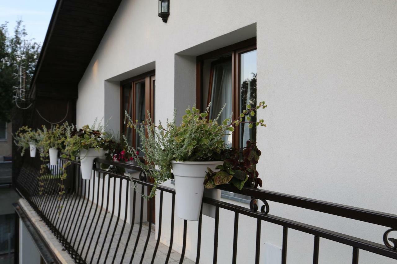 Villa Czarli 미엥지즈드로예 외부 사진